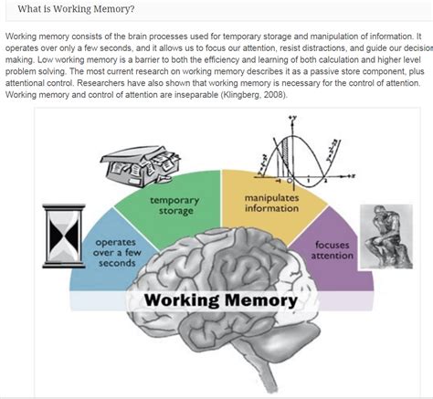 Attention And Working Memory