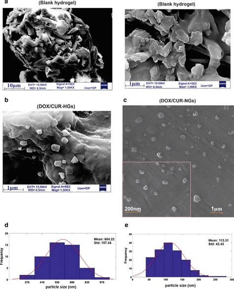 Morphological Characterization Of The Nanocarriers Fesem Images