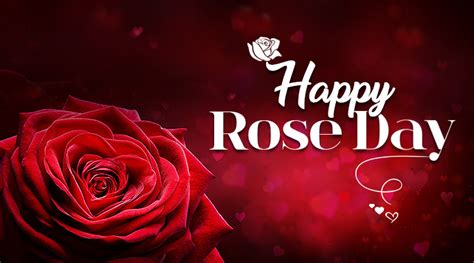 Happy Rose Day Rose Picture