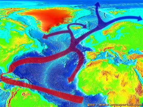 Gulf Stream Définition Et Explications