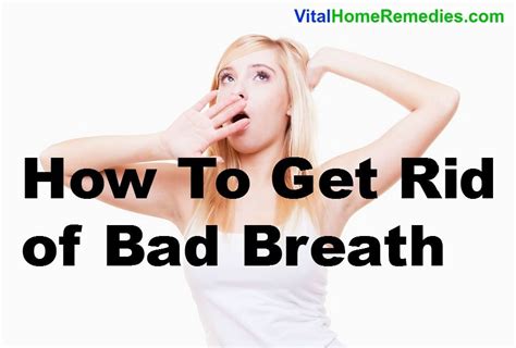 how to get rid of bad breath vital home remedies bad breath how to get rid bad breath remedy