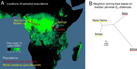 Adaptive Convergent Origins Of The Pygmy Phenotype In African