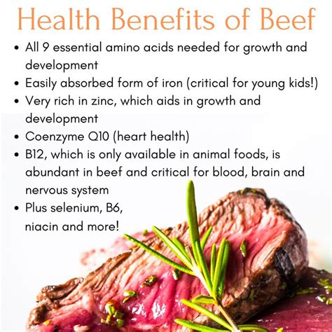 Health Benefits Of Beef In Nutrition Tips Eating Habits Healthy