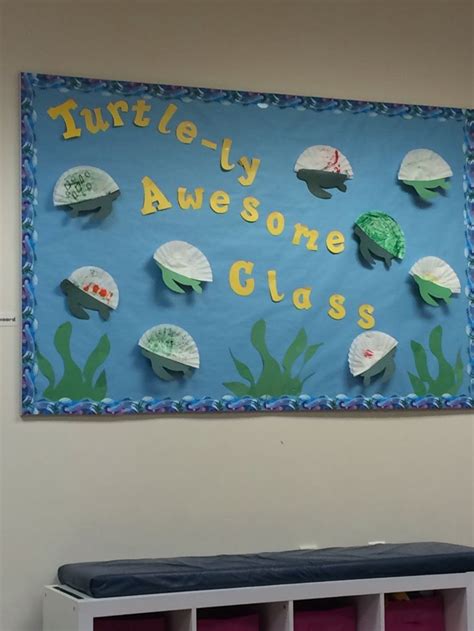 Coffee Filter Turtle Bulletin Board Turtle Bulletin Board Preschool