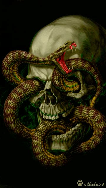 Skull Snake  Find And Share On Giphy Eyeball Art Snake Wallpaper
