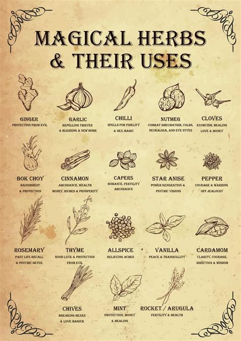 Magical Herbs And Their Uses Witchy Poster Witchcraft Kitchen Witch