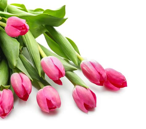 Beautiful Tulips For Mother S Day On White Background Stock Image