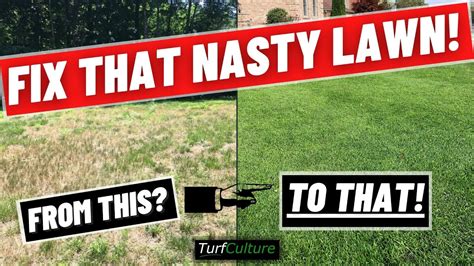 How To Fix Your Ugly Lawn Diy Lawn Care Tips To Get Started Youtube