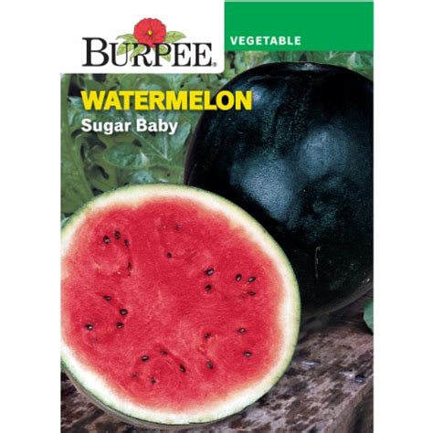 Burpee Blush Sugar Baby Watermelon Seeds 1 Ct Kroger