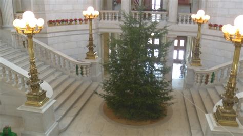Christmas Tree Arrives At Rhode Island State House Wjar
