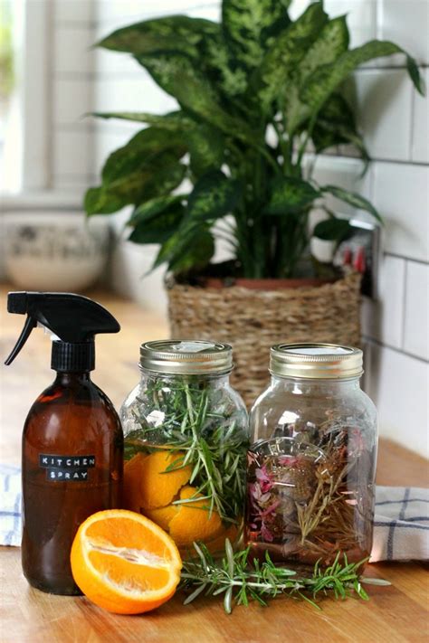 How To Make Herb Infused Vinegar For Cleaning Moral Fibres