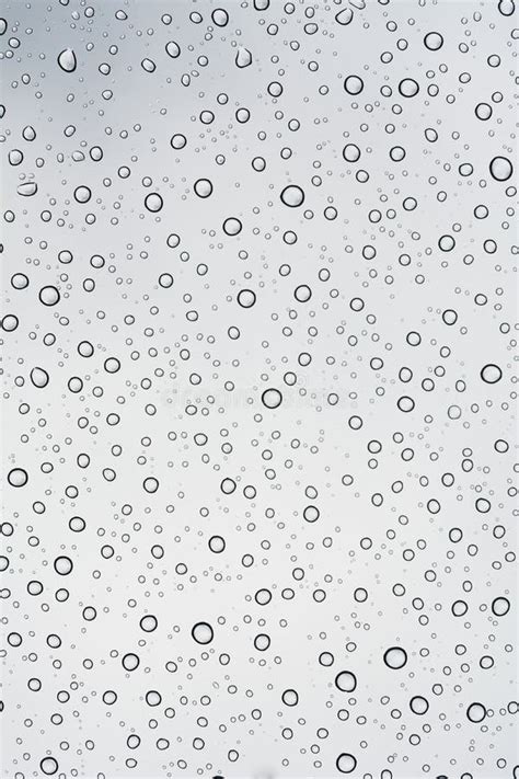 Background Of Water Drop On White Shades Stock Photo Image Of Aqua