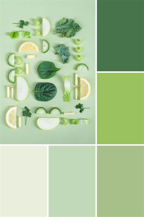 Alimentos Verdes Paleta De Color Verde Paletas De Colores De Verano