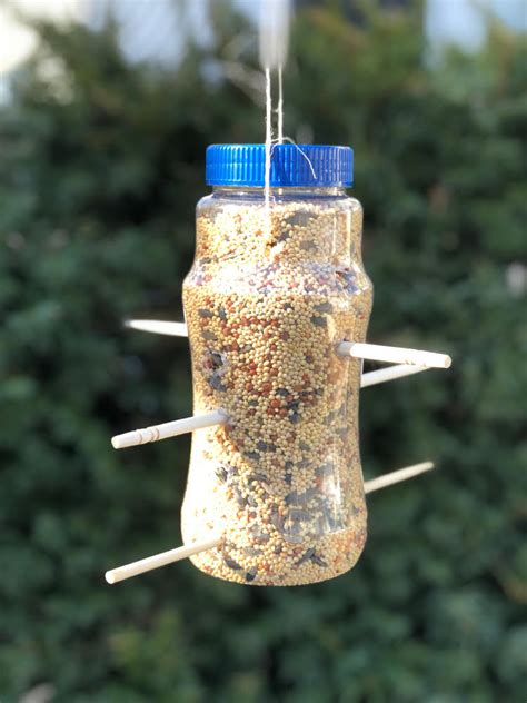 Cactus wren identification, all about birds, cornell lab. Plastic Bottle Bird Feeder - Upcycle Challenge Blog Hop ...