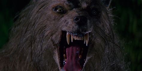 Werwolf Horror Bad Moon Erscheint Auch Im Limitierten Steelbook Dvd Forumat