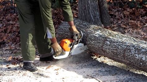 How To Cut Up A Tree With A Chainsaw Youtube