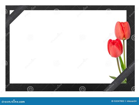 Funeral Frame Royalty Free Stock Photography 32227253