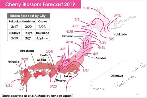 2019 Edition Sakura In Japan Forecast Maps Top Cherry Blossom Spots