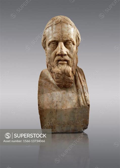 Bust Of Herodotus Of Halicarnassus Greek Historian Marble Hot Sex Picture