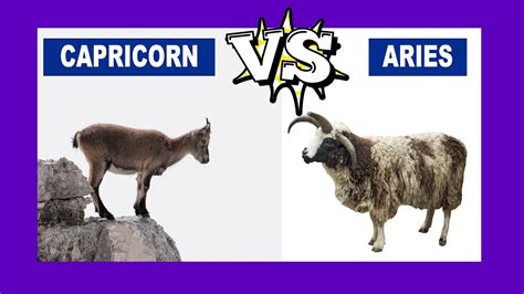 Capricorn Vs Aries Who Is The Strongest Zodiac Sign Youtube