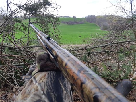 The Importance Of Sunday Gun Hunting In Ontario Ofah Insider