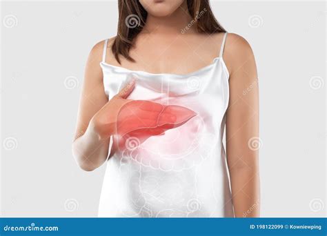 Illustration Of The Liver Is On The Woman`s Body Stock Image Image Of