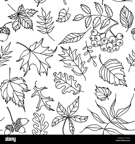 Autumn Leaves Seamless Pattern Black And White Doodles Stock Vector