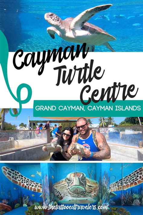 Spending A Day At The Grand Cayman Turtle Farm Grand Cayman Island Grand Cayman Cayman Islands