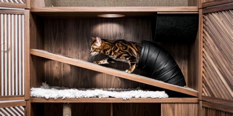 Check out our cat house selection for the very best in unique or custom, handmade pieces from our some of the technologies we use are necessary for critical functions like security and site integrity. Cat Flat: Cat House Hidden Inside Handcrafted Storage Cabinet