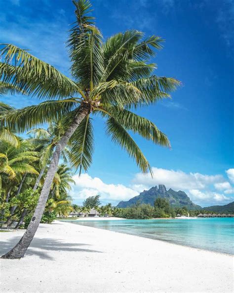 bora bora island merupakan sebuah pulau indah yang terletak