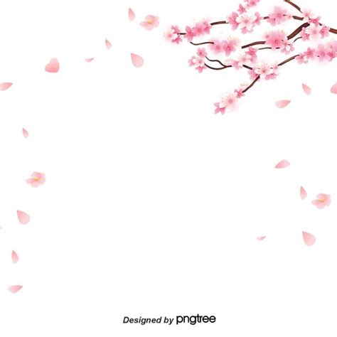 Fond De Bordure De Dessin Animé Simple Fleur De Cerisier Cherry