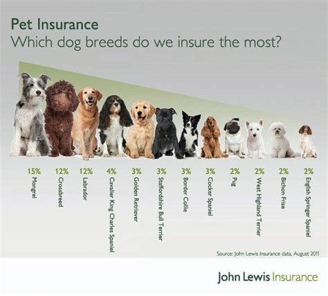 Unfortunately, many pet owners are faced with a tough decision when presented with costly invoices for treatment. Which dog breeds do we insure the most? #petsbestinsurance ...