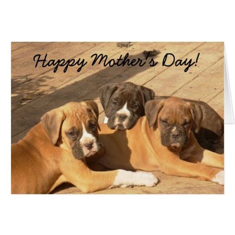Happy Mothers Day Boxer Puppies Greeting Card Zazzle