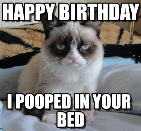 See The Wonderful Unhappy Birthday Funny Memes Grumpy Cat