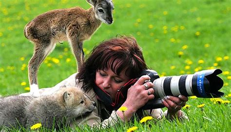 15 Raisons Pour Lesquelles Photographe Animalier Est Le Meilleur Job Du