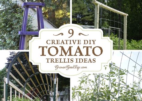 9 Creative Diy Tomato Trellis Ideas Turner Blog
