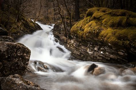 Free Photo River Surrounded By Rocks Covered In Mosses And Trees In A