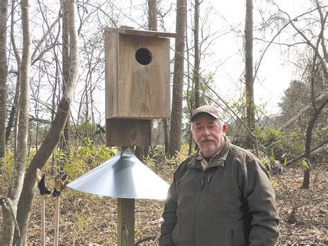 23.00 11.00 11.00 9.50 18.50 23.00 19.00 14.00 10.50 3.50 4.25 3.25 wood duck house plans. Dnr Wood Duck House Plans / Installing Wood Duck Nest ...
