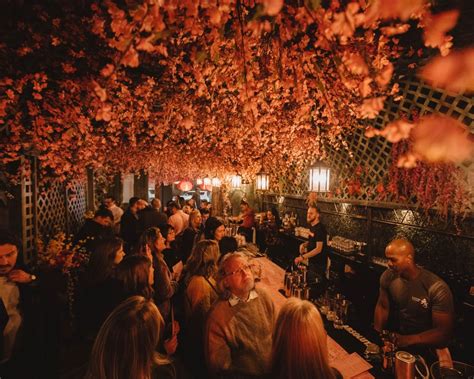 Dc Cherry Blossom Pub Photos Of Dcs Latest Pop Up Bar
