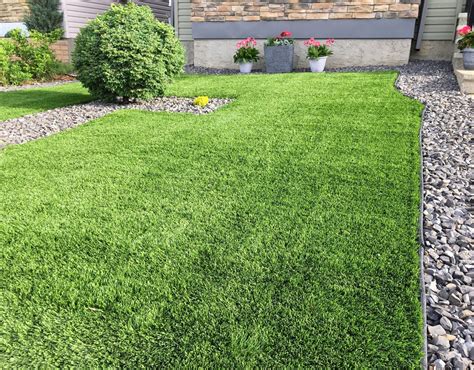 Pros And Cons Of Artificial Grass Millionacres