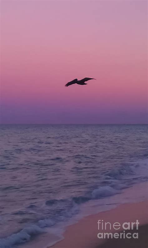 Pink Beach Sunset Photograph By Charlie Cliques