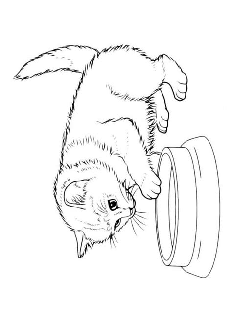 Cute Cats Coloring Pages Download And Print Cute Cats