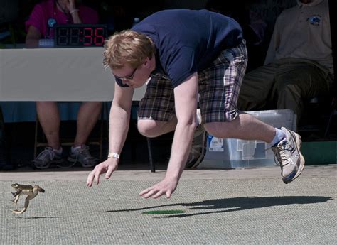 the frog is clearly outdone calaveras county frog jumping jubilee 2012 smithsonian photo