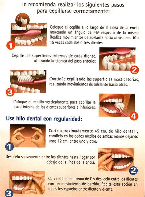 Técnicas De Cepillado Y Uso Del Hilo Dental Dentistas Estetica Dental