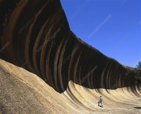 Wave Rock Formed By Sandstone Erosion Australia Stock Image E460