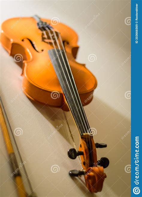 Violin Profile Violin Stock Image Image Of Instrument 203666569