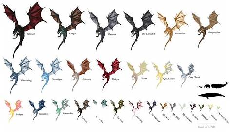 Updated dragon size chart. : r/HouseOfTheDragon