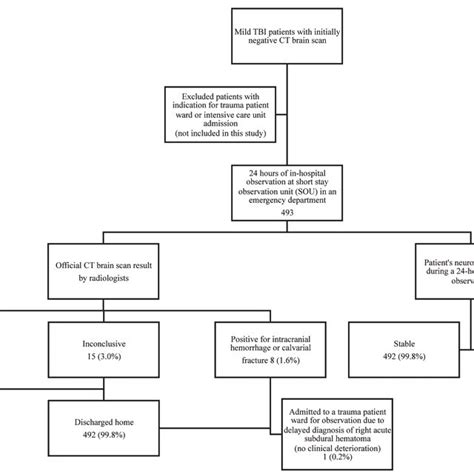 Flow Chart Of Mild Traumatic Brain Injury Patients In This Study Data