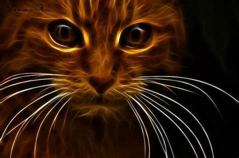 Fractalius Cat 1 By Tamarawiditz On Deviantart Cat Art Fire Art Fractal Art