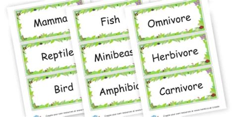 Animal Category Labels Teacher Made